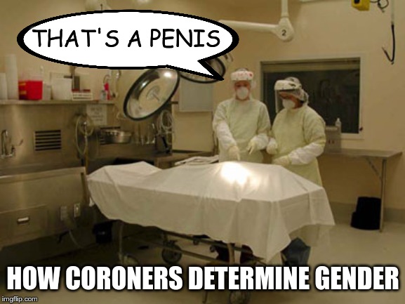 Autopsy | THAT'S A PENIS; HOW CORONERS DETERMINE GENDER | image tagged in autopsy | made w/ Imgflip meme maker