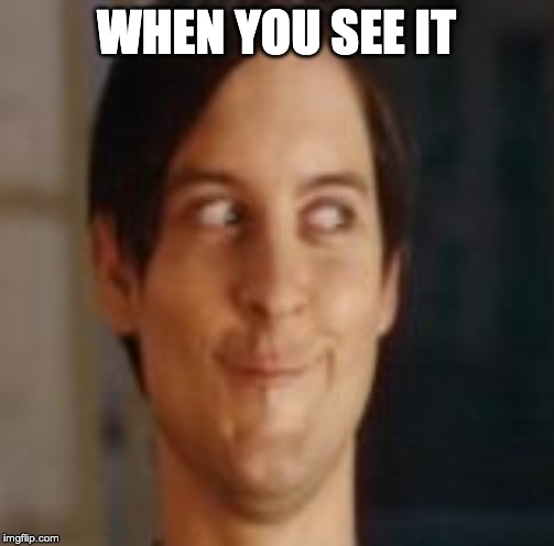 When You See It | WHEN YOU SEE IT | image tagged in when you see it | made w/ Imgflip meme maker