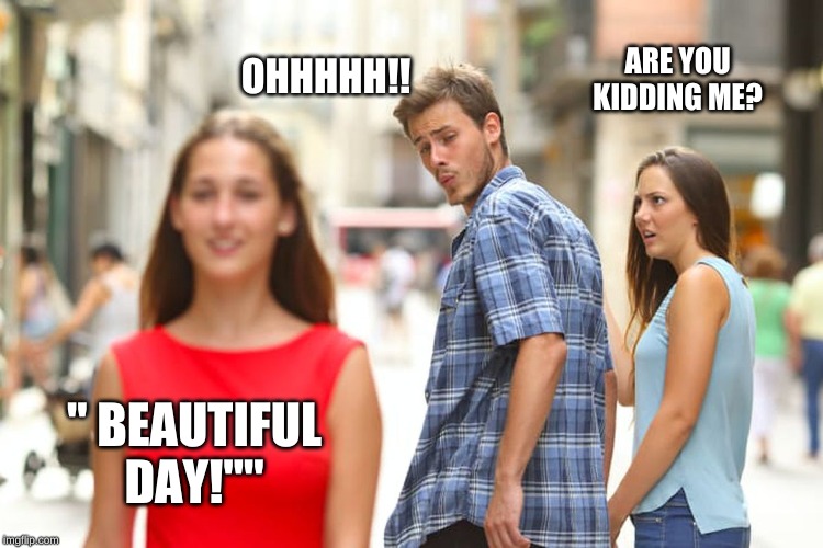 Distracted Boyfriend Meme | ARE YOU KIDDING ME? OHHHHH!! " BEAUTIFUL DAY!"" | image tagged in memes,distracted boyfriend | made w/ Imgflip meme maker