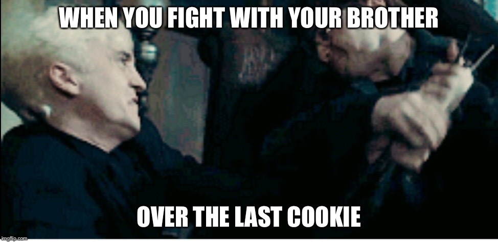 Relatable sibling meme | WHEN YOU FIGHT WITH YOUR BROTHER; OVER THE LAST COOKIE | image tagged in siblings,sibling rivalry,cookies,funny memes,relatable | made w/ Imgflip meme maker