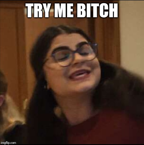 Try me bitch | TRY ME BITCH | image tagged in bitch,try me bitch | made w/ Imgflip meme maker