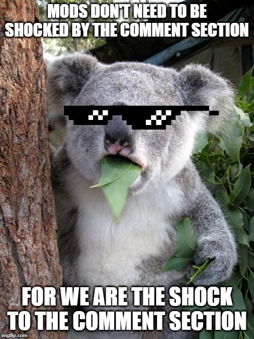 Surprised Koala Meme | MODS DON'T NEED TO BE SHOCKED BY THE COMMENT SECTION; FOR WE ARE THE SHOCK TO THE COMMENT SECTION | image tagged in memes,surprised koala | made w/ Imgflip meme maker