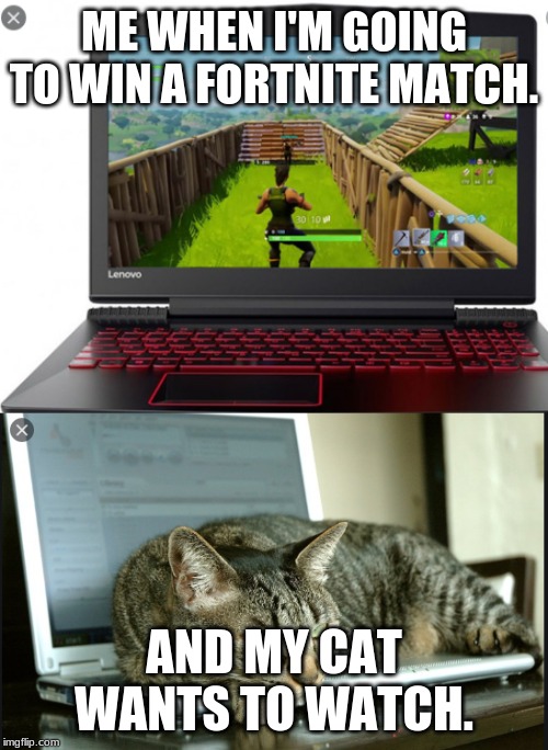 fortnite meme | ME WHEN I'M GOING TO WIN A FORTNITE MATCH. AND MY CAT WANTS TO WATCH. | image tagged in meme,fortnite meme | made w/ Imgflip meme maker