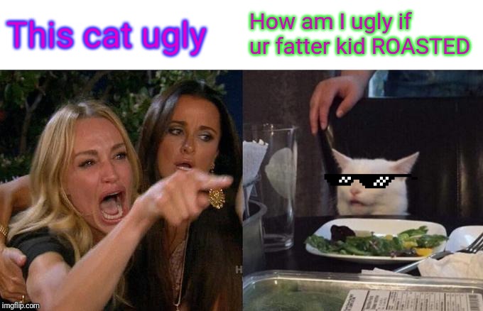 Woman Yelling At Cat | This cat ugly; How am I ugly if ur fatter kid ROASTED | image tagged in memes,woman yelling at cat | made w/ Imgflip meme maker