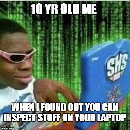 kid hacking laptop | 10 YR OLD ME; WHEN I FOUND OUT YOU CAN INSPECT STUFF ON YOUR LAPTOP | image tagged in kid hacking laptop | made w/ Imgflip meme maker