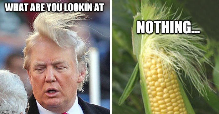 WHAT ARE YOU LOOKIN AT; NOTHING... | image tagged in donald trump,corn,memes | made w/ Imgflip meme maker