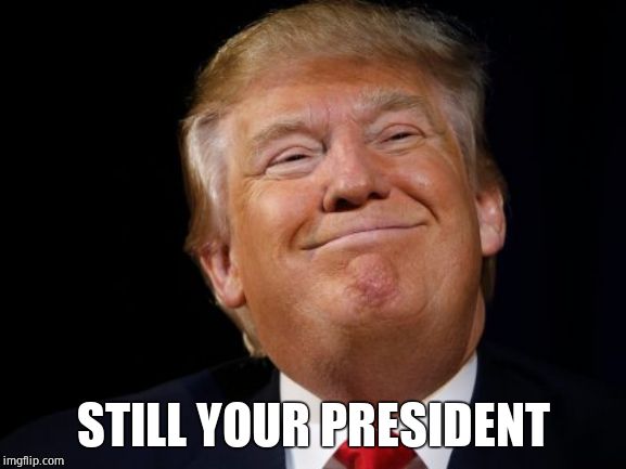 Smug Trump | STILL YOUR PRESIDENT | image tagged in smug trump | made w/ Imgflip meme maker