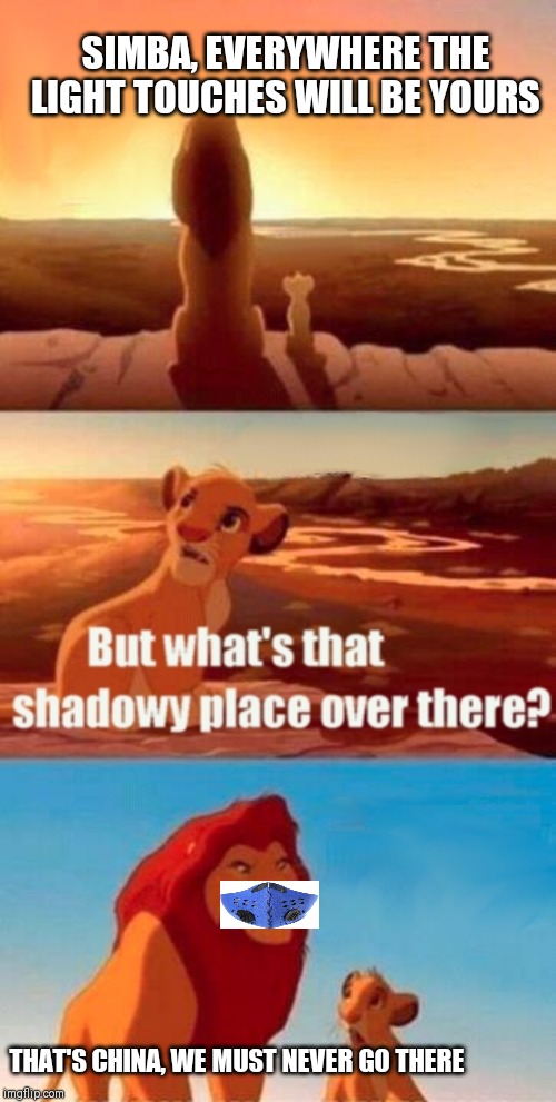 Simba Shadowy Place Meme | SIMBA, EVERYWHERE THE LIGHT TOUCHES WILL BE YOURS; THAT'S CHINA, WE MUST NEVER GO THERE | image tagged in memes,simba shadowy place | made w/ Imgflip meme maker