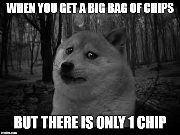 Very sad doge | WHEN YOU GET A BIG BAG OF CHIPS; BUT THERE IS ONLY 1 CHIP | image tagged in very sad doge | made w/ Imgflip meme maker