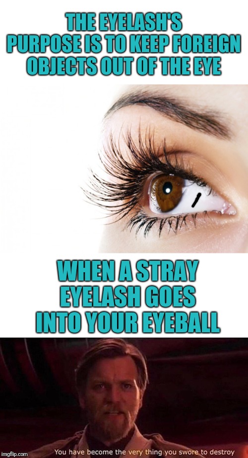 THE EYELASH'S PURPOSE IS TO KEEP FOREIGN OBJECTS OUT OF THE EYE; WHEN A STRAY EYELASH GOES INTO YOUR EYEBALL | image tagged in eyelashes,you've become the very thing you swore to destroy | made w/ Imgflip meme maker