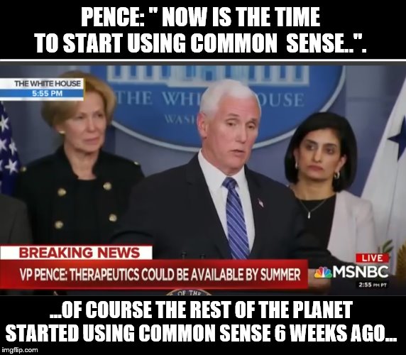 Better Late Than Never? | PENCE: " NOW IS THE TIME TO START USING COMMON  SENSE..". ...OF COURSE THE REST OF THE PLANET STARTED USING COMMON SENSE 6 WEEKS AGO... | image tagged in mike pence,coronavirus,trump is a moron,weakness | made w/ Imgflip meme maker