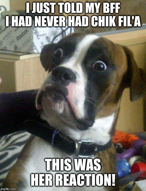 Blankie the Shocked Dog | I JUST TOLD MY BFF I HAD NEVER HAD CHIK FIL'A; THIS WAS HER REACTION! | image tagged in blankie the shocked dog | made w/ Imgflip meme maker