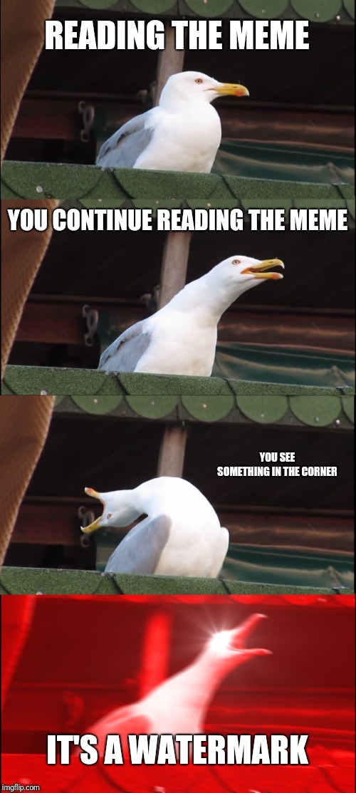 Inhaling Seagull | READING THE MEME; YOU CONTINUE READING THE MEME; YOU SEE SOMETHING IN THE CORNER; IT'S A WATERMARK | image tagged in memes,inhaling seagull | made w/ Imgflip meme maker