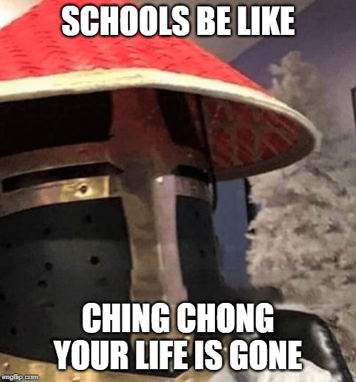 Ching Chong Crusader | SCHOOLS BE LIKE; CHING CHONG YOUR LIFE IS GONE | image tagged in ching chong crusader | made w/ Imgflip meme maker