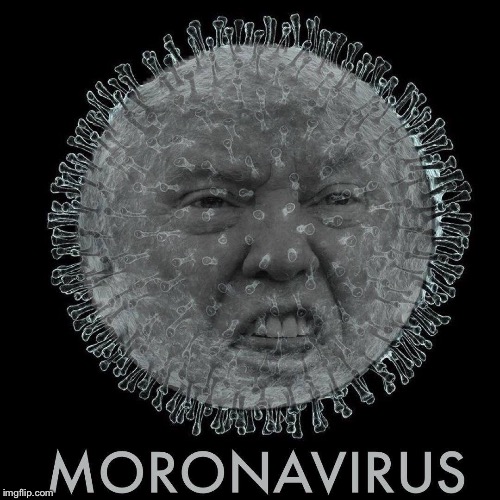 Trump Virus | image tagged in donald trump,trump virus,moronavirus,coronavirus,mike pence,cdc | made w/ Imgflip meme maker