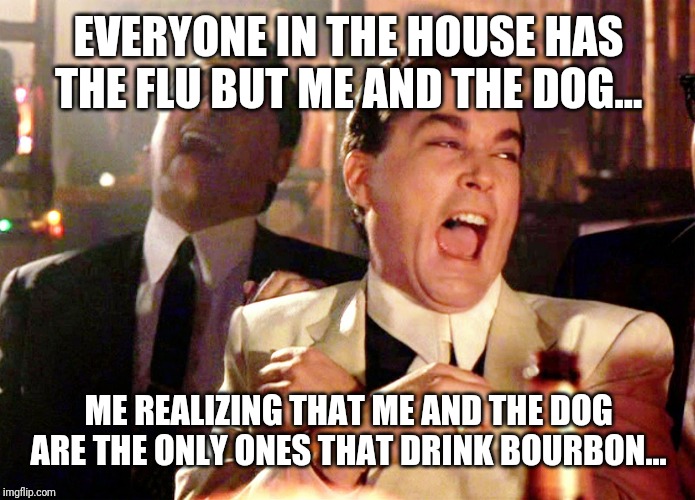 Good Fellas Hilarious Meme | EVERYONE IN THE HOUSE HAS THE FLU BUT ME AND THE DOG... ME REALIZING THAT ME AND THE DOG ARE THE ONLY ONES THAT DRINK BOURBON... | image tagged in memes,good fellas hilarious | made w/ Imgflip meme maker