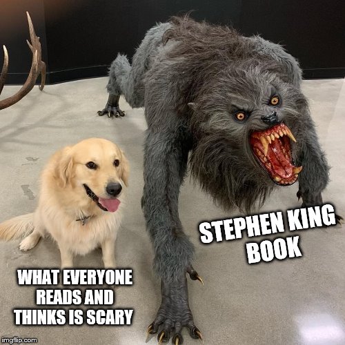 Good dog scary dog | STEPHEN KING
 BOOK; WHAT EVERYONE READS AND THINKS IS SCARY | image tagged in good dog scary dog | made w/ Imgflip meme maker