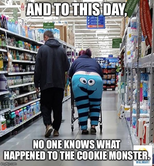 People of Walmart - Cookie Monster | AND TO THIS DAY, NO ONE KNOWS WHAT HAPPENED TO THE COOKIE MONSTER. | image tagged in people of walmart - cookie monster | made w/ Imgflip meme maker