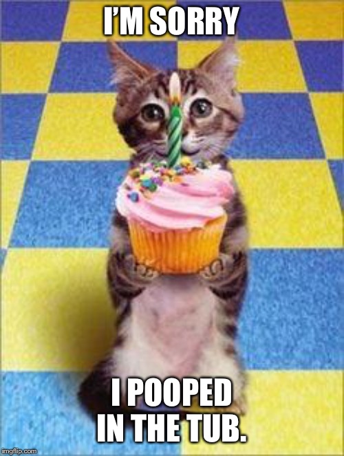 Happy Birthday Cat | I’M SORRY; I POOPED IN THE TUB. | image tagged in happy birthday cat | made w/ Imgflip meme maker