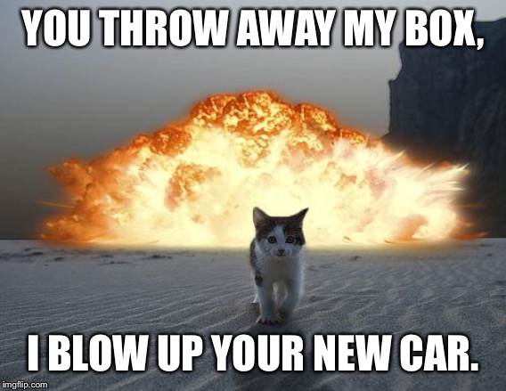 cat explosion | YOU THROW AWAY MY BOX, I BLOW UP YOUR NEW CAR. | image tagged in cat explosion | made w/ Imgflip meme maker