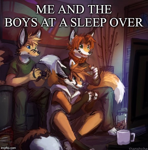 ME AND THE BOYS AT A SLEEP OVER | image tagged in furries,me and the boys,gaming | made w/ Imgflip meme maker