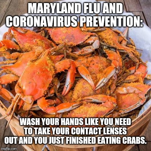 Crabs | MARYLAND FLU AND CORONAVIRUS PREVENTION:; WASH YOUR HANDS LIKE YOU NEED TO TAKE YOUR CONTACT LENSES OUT AND YOU JUST FINISHED EATING CRABS. | image tagged in crabs | made w/ Imgflip meme maker