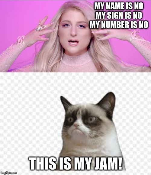 No | MY NAME IS NO

MY SIGN IS NO
MY NUMBER IS NO; THIS IS MY JAM! | image tagged in grumpy cat | made w/ Imgflip meme maker