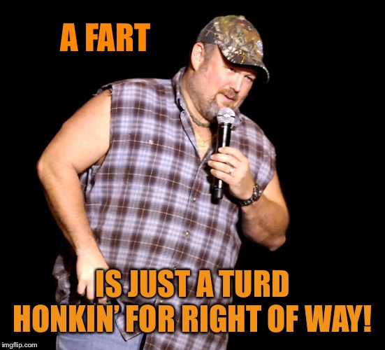 Larry the Cable Guy | A FART IS JUST A TURD HONKIN’ FOR RIGHT OF WAY! | image tagged in larry the cable guy | made w/ Imgflip meme maker
