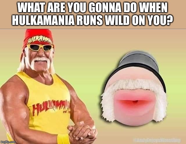 Hulkamania | WHAT ARE YOU GONNA DO WHEN HULKAMANIA RUNS WILD ON YOU? | image tagged in hulk hogan,wild,fleshlight,brother | made w/ Imgflip meme maker