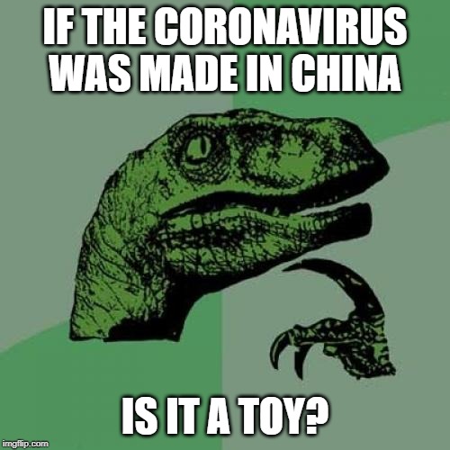 Philosoraptor Meme | IF THE CORONAVIRUS WAS MADE IN CHINA; IS IT A TOY? | image tagged in memes,philosoraptor | made w/ Imgflip meme maker