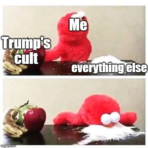 elmo cocaine | Me; Trump's cult; everything else | image tagged in elmo cocaine | made w/ Imgflip meme maker