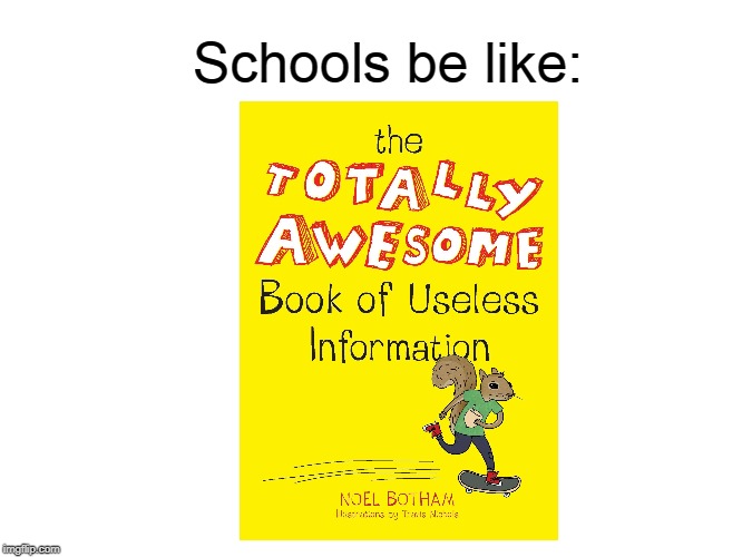 Useless information will definitely help me succeed in life. | Schools be like: | image tagged in blank meme template,memes | made w/ Imgflip meme maker
