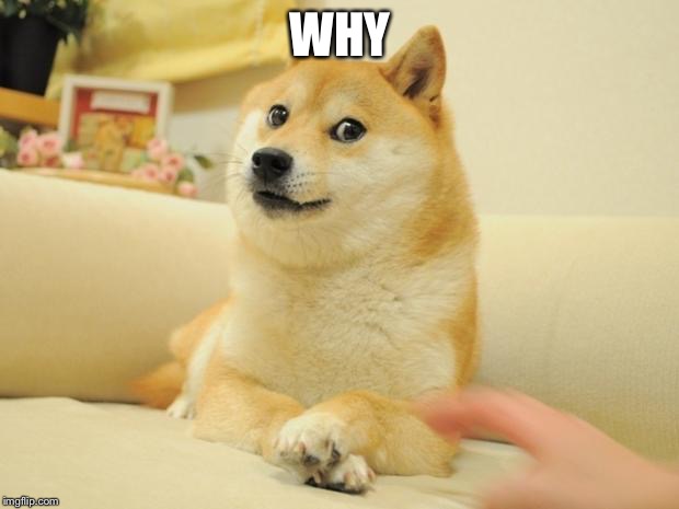 Doge 2 Meme | WHY | image tagged in memes,doge 2 | made w/ Imgflip meme maker