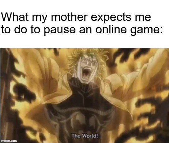 Star Platinum! | What my mother expects me to do to pause an online game: | image tagged in za warudo,memes,jotaro,dio,jojo's bizarre adventure | made w/ Imgflip meme maker