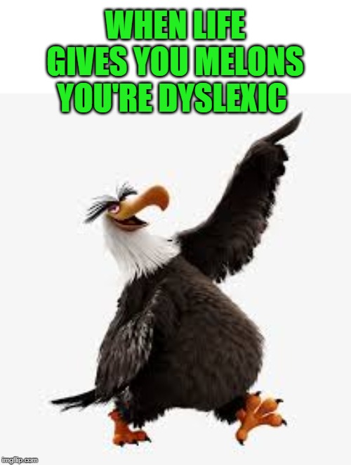 angry birds eagle | WHEN LIFE GIVES YOU MELONS
YOU'RE DYSLEXIC | image tagged in angry birds eagle | made w/ Imgflip meme maker