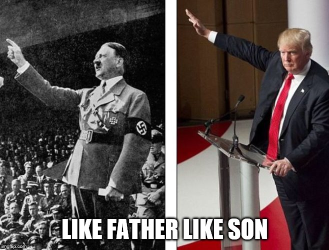 Hitler Trump | LIKE FATHER LIKE SON | image tagged in hitler trump | made w/ Imgflip meme maker