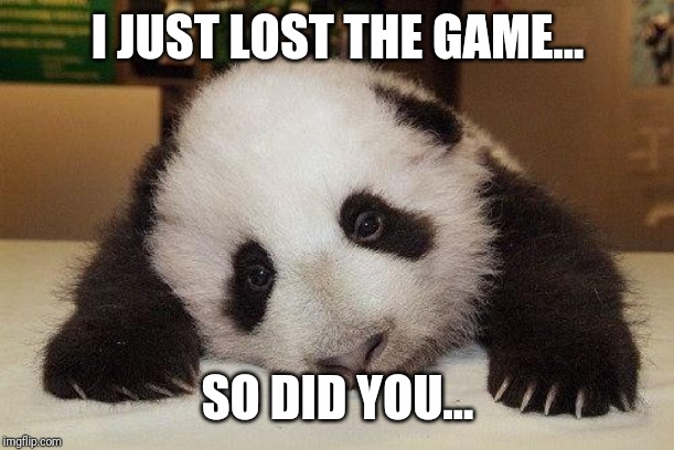 Lost The Game | I JUST LOST THE GAME... SO DID YOU... | image tagged in tech support sad panda,the game,lost,funny,forever,playing | made w/ Imgflip meme maker