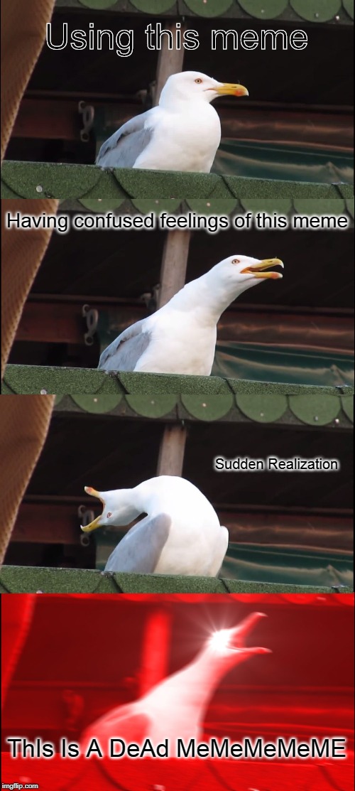 Inhaling Seagull | Using this meme; Having confused feelings of this meme; Sudden Realization; ThIs Is A DeAd MeMeMeMeME | image tagged in memes,inhaling seagull | made w/ Imgflip meme maker