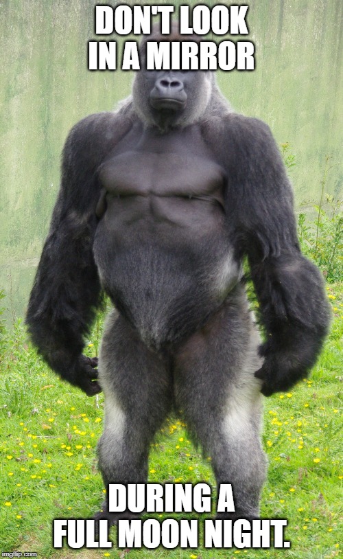 Gorilla standing up straight | DON'T LOOK IN A MIRROR; DURING A FULL MOON NIGHT. | image tagged in gorilla standing up straight | made w/ Imgflip meme maker
