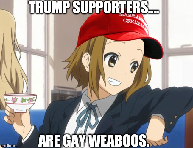 TRUMP SUPPORTERS.... ARE GAY WEABOOS. | image tagged in imgflip | made w/ Imgflip meme maker