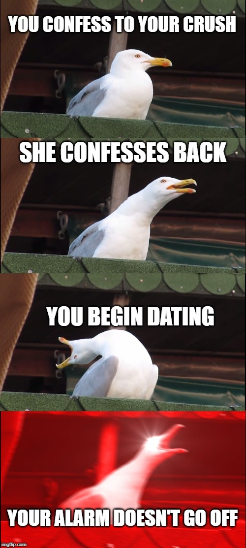 Inhaling Seagull | YOU CONFESS TO YOUR CRUSH; SHE CONFESSES BACK; YOU BEGIN DATING; YOUR ALARM DOESN'T GO OFF | image tagged in memes,inhaling seagull | made w/ Imgflip meme maker