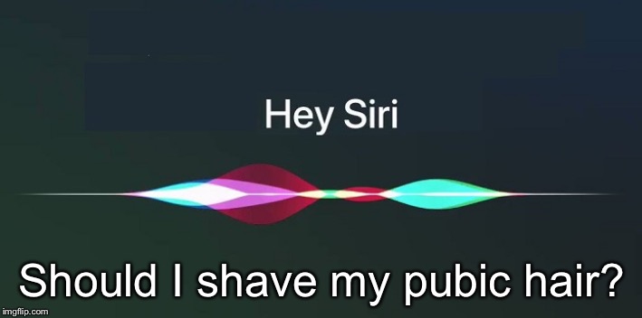 Hey Siri! | Should I shave my pubic hair? | image tagged in hey siri | made w/ Imgflip meme maker