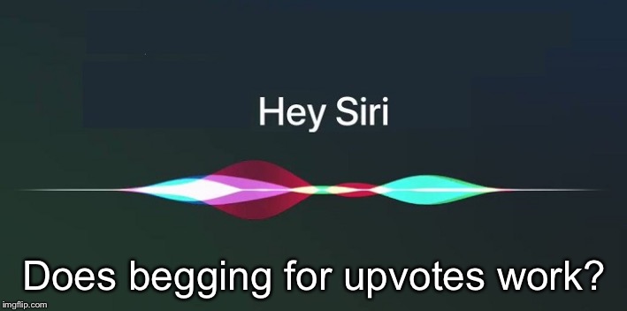 Hey Siri! | Does begging for upvotes work? | image tagged in hey siri | made w/ Imgflip meme maker