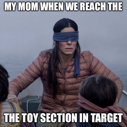 Bird Box | MY MOM WHEN WE REACH THE; THE TOY SECTION IN TARGET | image tagged in memes,bird box | made w/ Imgflip meme maker