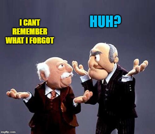 statler and waldorf | I CANT REMEMBER WHAT I FORGOT HUH? | image tagged in statler and waldorf | made w/ Imgflip meme maker
