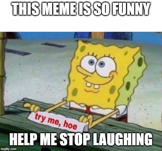 try me hoe | THIS MEME IS SO FUNNY; HELP ME STOP LAUGHING | image tagged in try me hoe | made w/ Imgflip meme maker