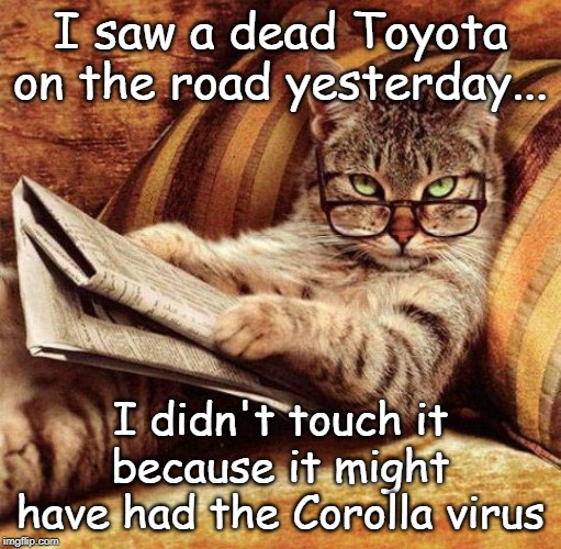 Corolla virus | I saw a dead Toyota on the road yesterday... I didn't touch it because it might have had the Corolla virus | image tagged in smart cat,corolla virus | made w/ Imgflip meme maker