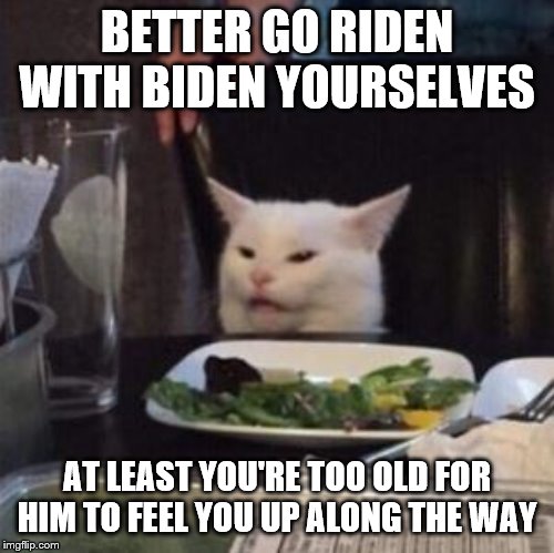 BETTER GO RIDEN WITH BIDEN YOURSELVES AT LEAST YOU'RE TOO OLD FOR HIM TO FEEL YOU UP ALONG THE WAY | made w/ Imgflip meme maker