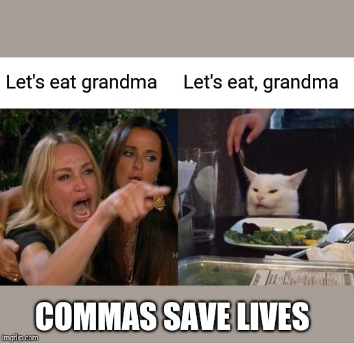 Woman Yelling At Cat Meme | Let's eat grandma; Let's eat, grandma; COMMAS SAVE LIVES | image tagged in memes,woman yelling at cat | made w/ Imgflip meme maker