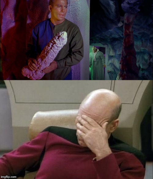 image tagged in memes,captain picard facepalm | made w/ Imgflip meme maker